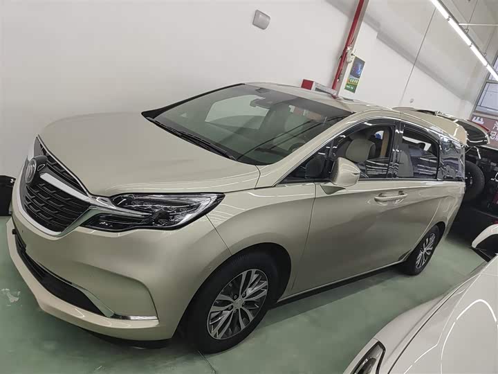 Фото 5 - Buick GL8 ES