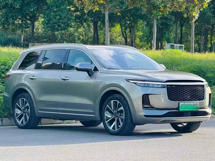 Фото 3 - LiXiang One