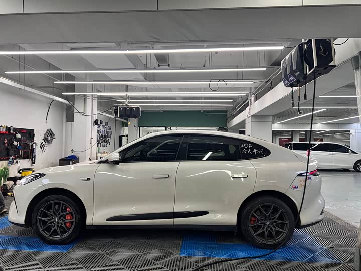 Фото 15 - IM motors LS6