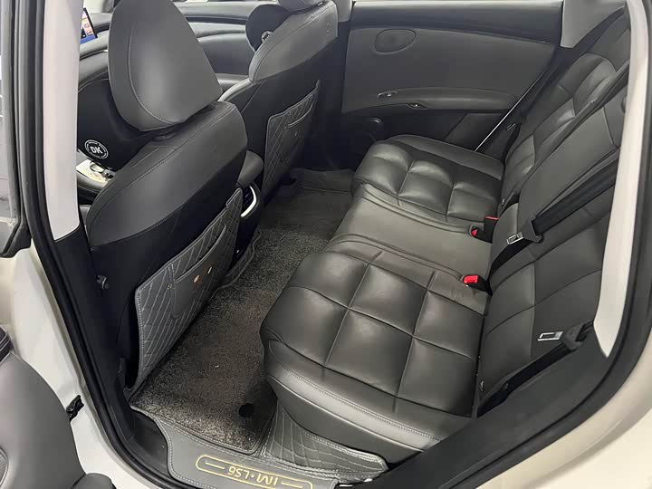 Фото 5 - IM motors LS6