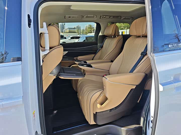 Фото 10 - Denza D9