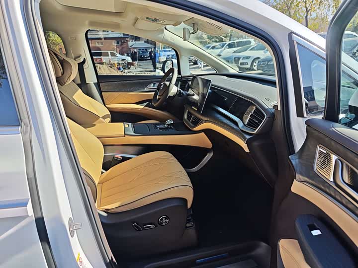 Фото 12 - Denza D9