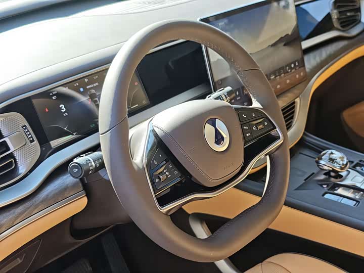 Фото 19 - Denza D9