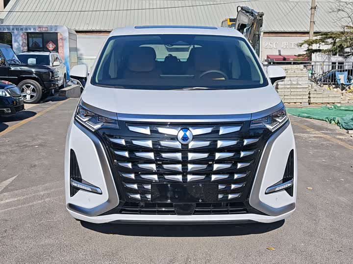 Фото 2 - Denza D9