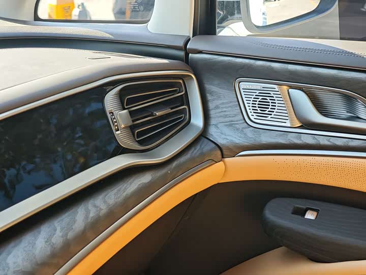 Фото 24 - Denza D9