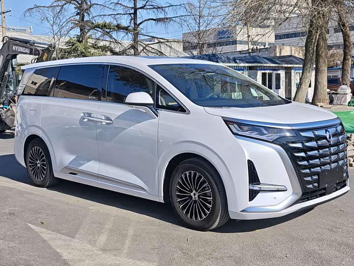 Фото 6 - Denza D9