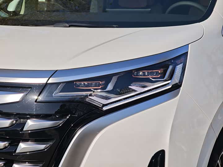 Фото 7 - Denza D9