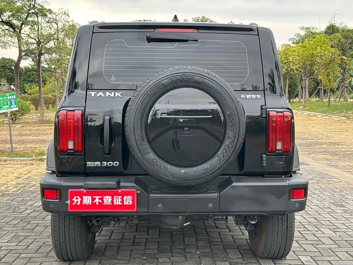 Фото 5 - Tank 300