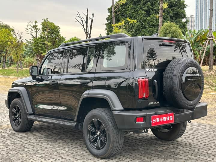 Фото 6 - Tank 300