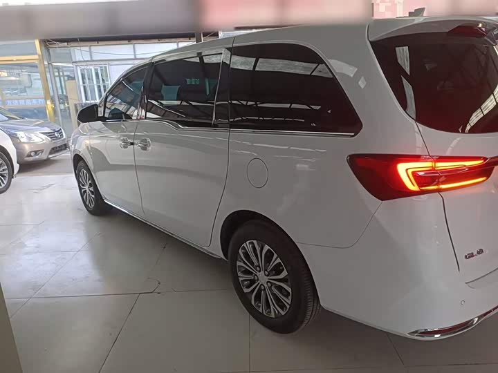 Фото 5 - Buick GL8 ES