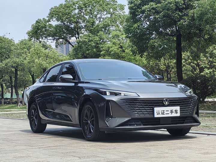 Фото 3 - Changan Yida