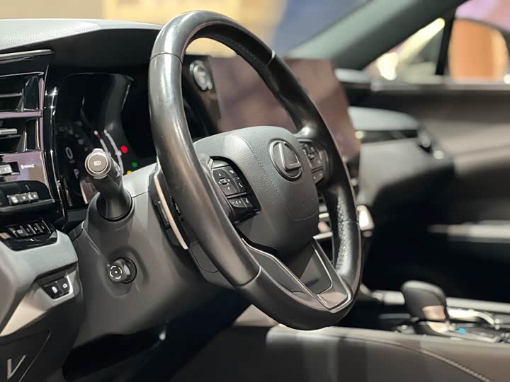 Фото 10 - Lexus RX