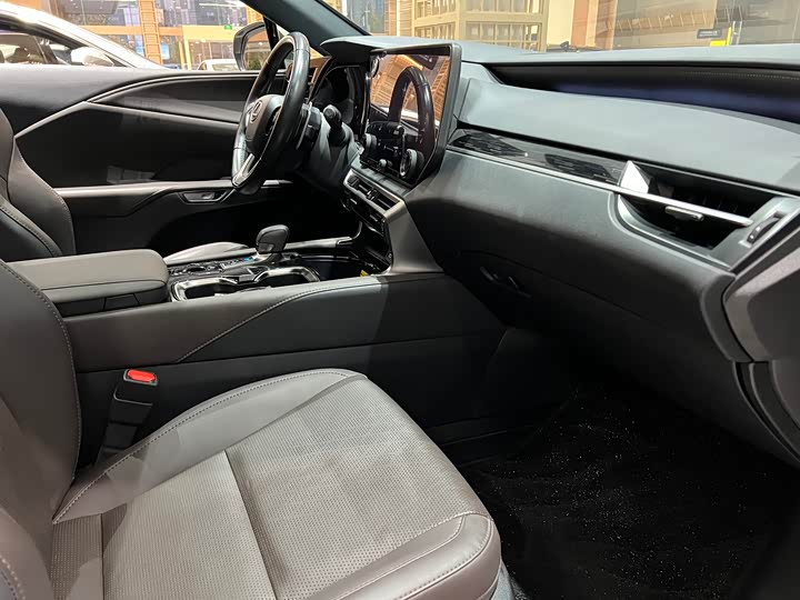 Фото 14 - Lexus RX