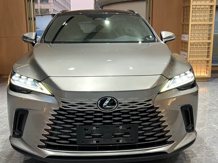 Фото 2 - Lexus RX