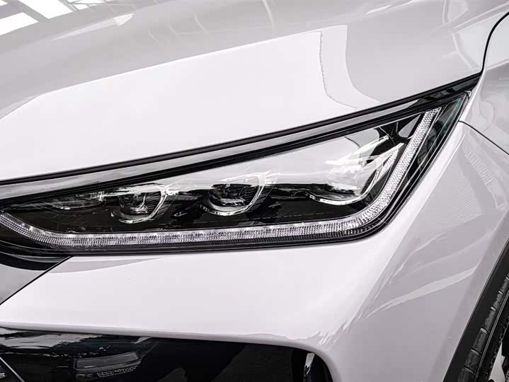 Фото 19 - BYD Tang Hybrid/EV