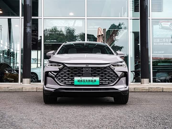 Фото 2 - BYD Tang Hybrid/EV