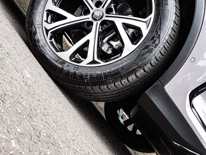 Фото 20 - BYD Tang Hybrid/EV