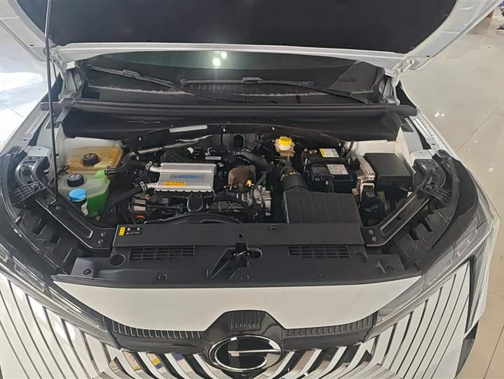 Фото 10 - GAC Trumpchi Emkoo