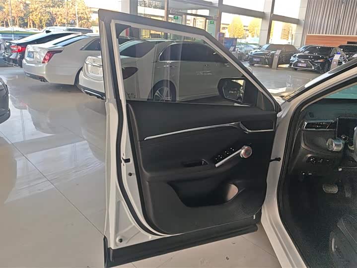 Фото 7 - GAC Trumpchi Emkoo