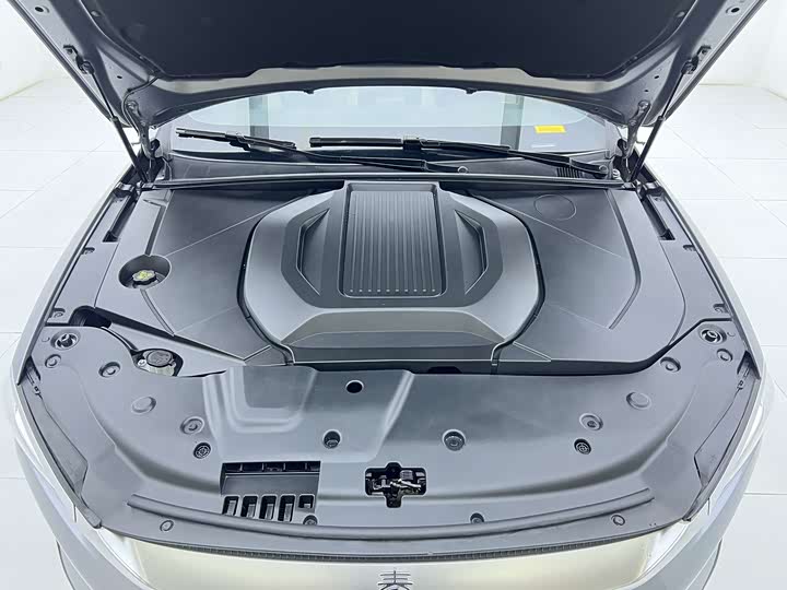 Фото 21 - BYD Qin Plus