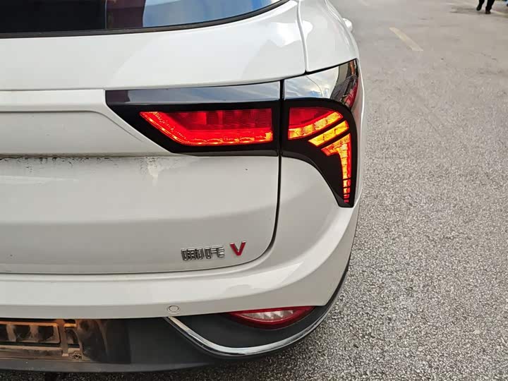 Фото 8 - Hozon V