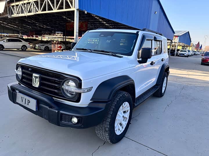 Фото 1 - Tank 300