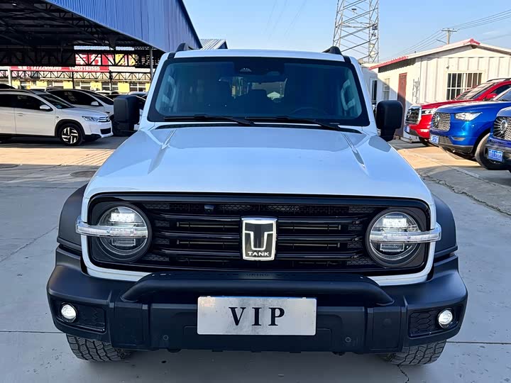 Фото 2 - Tank 300