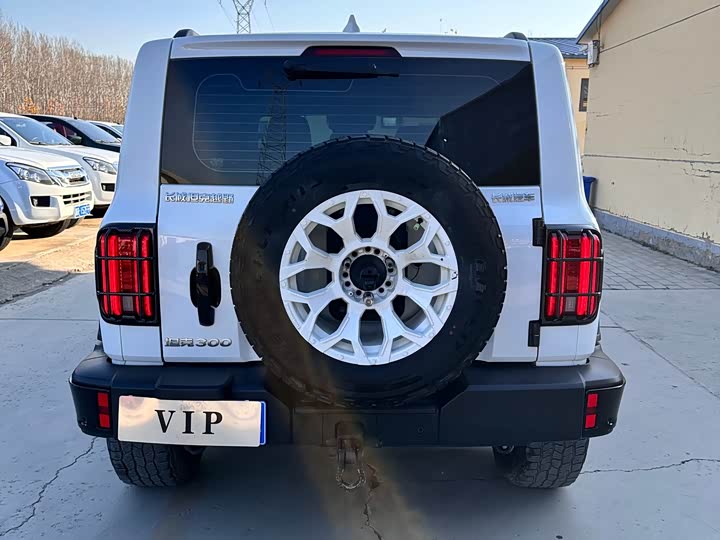 Фото 3 - Tank 300