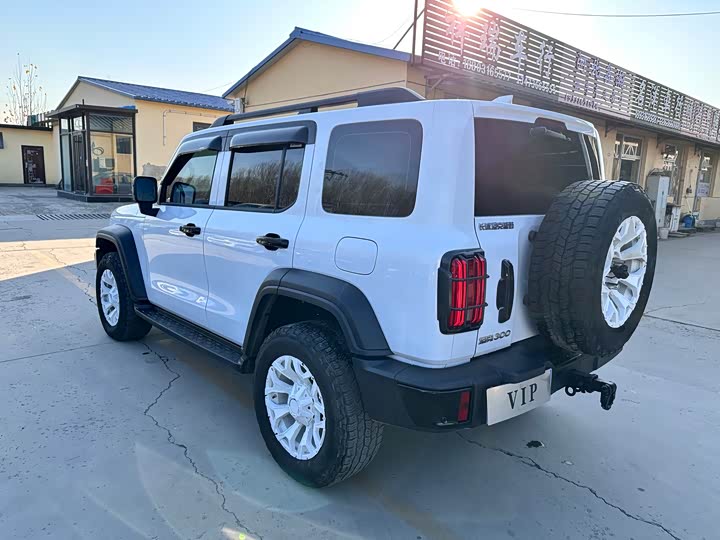 Фото 6 - Tank 300