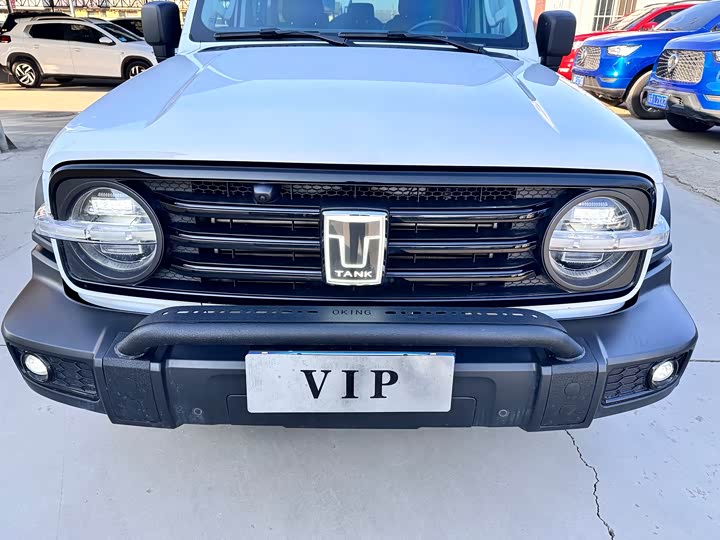 Фото 7 - Tank 300