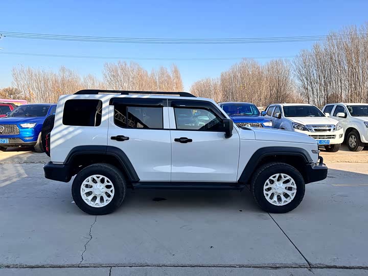 Фото 8 - Tank 300