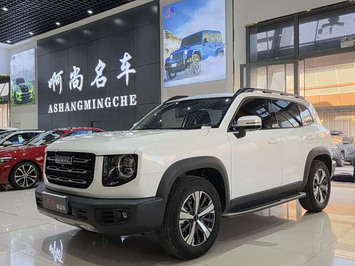 Фото 1 - Haval Dargo