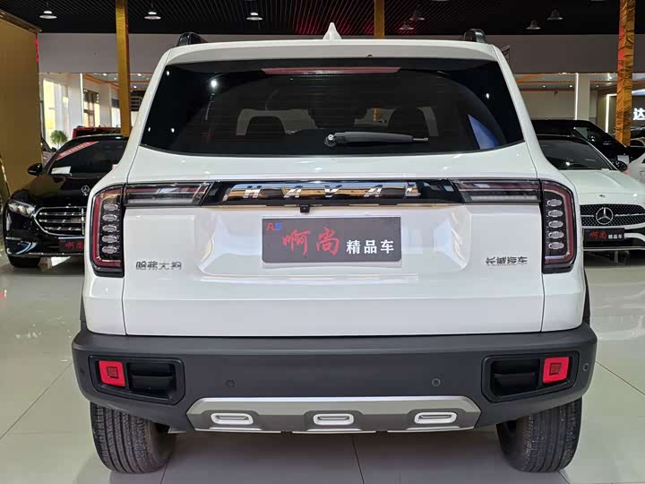 Фото 17 - Haval Dargo