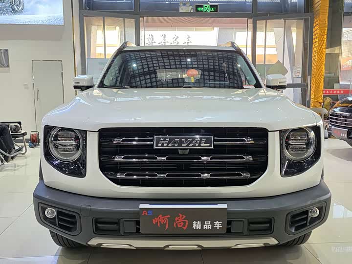 Фото 2 - Haval Dargo