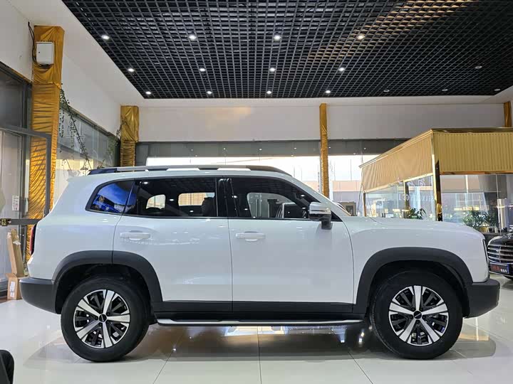 Фото 4 - Haval Dargo