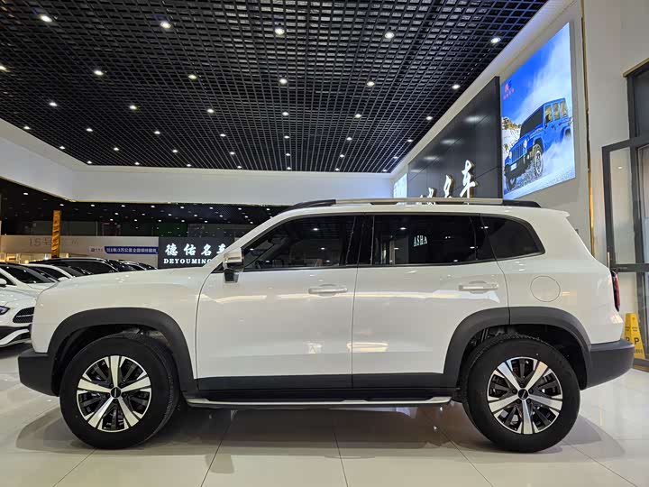 Фото 5 - Haval Dargo