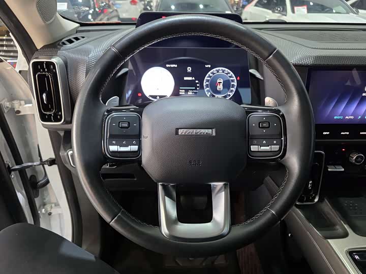 Фото 9 - Haval Dargo