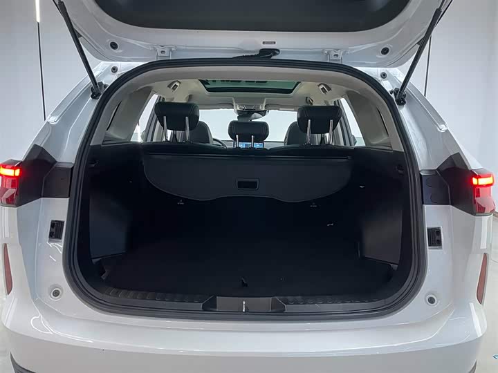 Фото 31 - Haval H6