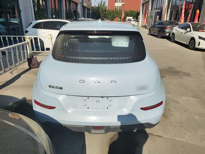 Фото 6 - Ora Good Cat (03)