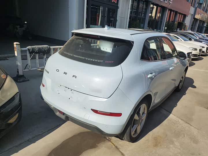 Фото 7 - Ora Good Cat (03)