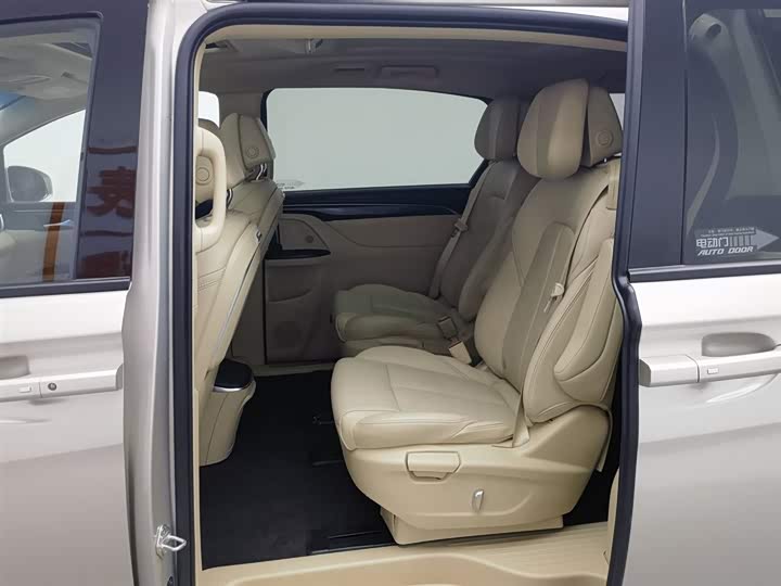 Фото 15 - Buick GL8 ES