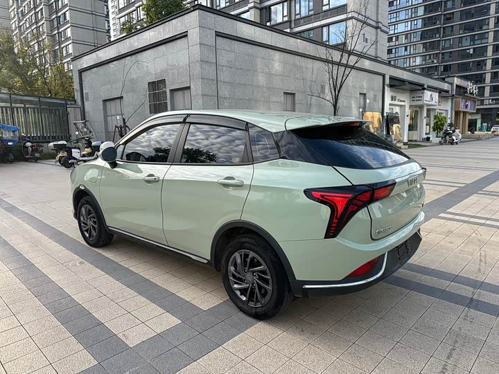 Фото 10 - Hozon V