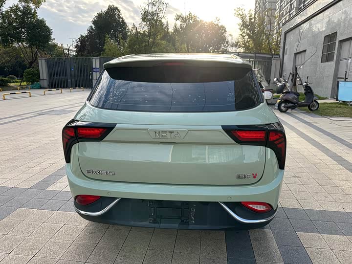 Фото 11 - Hozon V