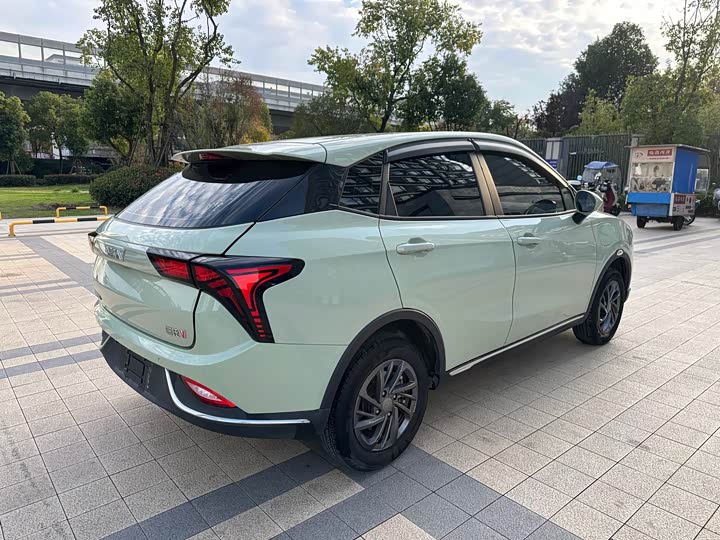 Фото 12 - Hozon V