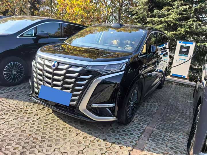 Фото 1 - Denza D9