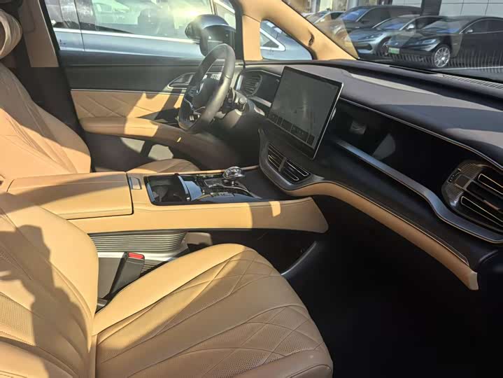 Фото 6 - Denza D9