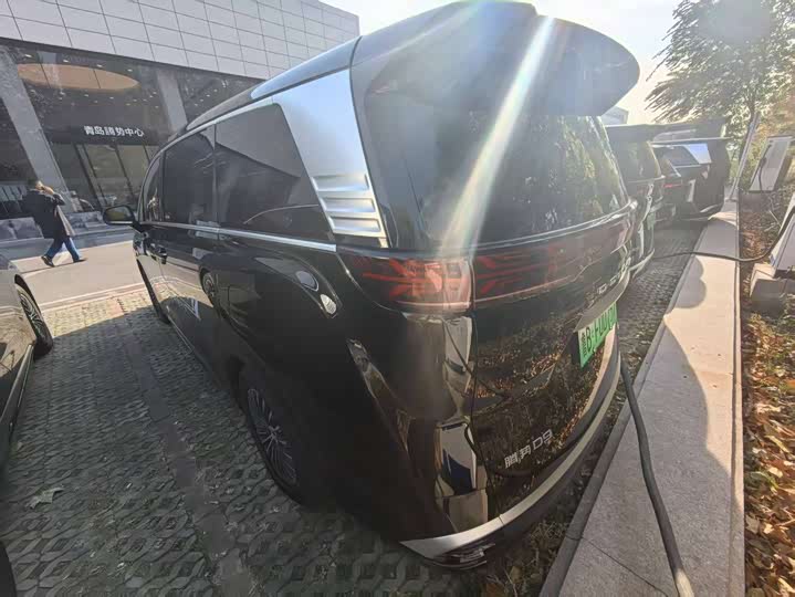 Фото 7 - Denza D9