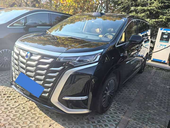 Фото 8 - Denza D9