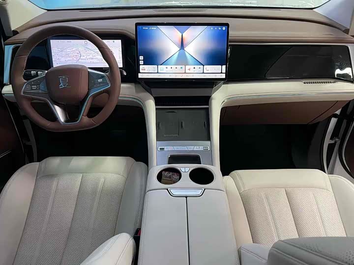 Фото 4 - BYD Xia