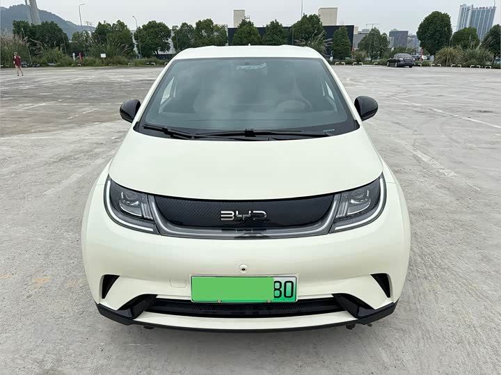 Фото 2 - BYD Dolphin